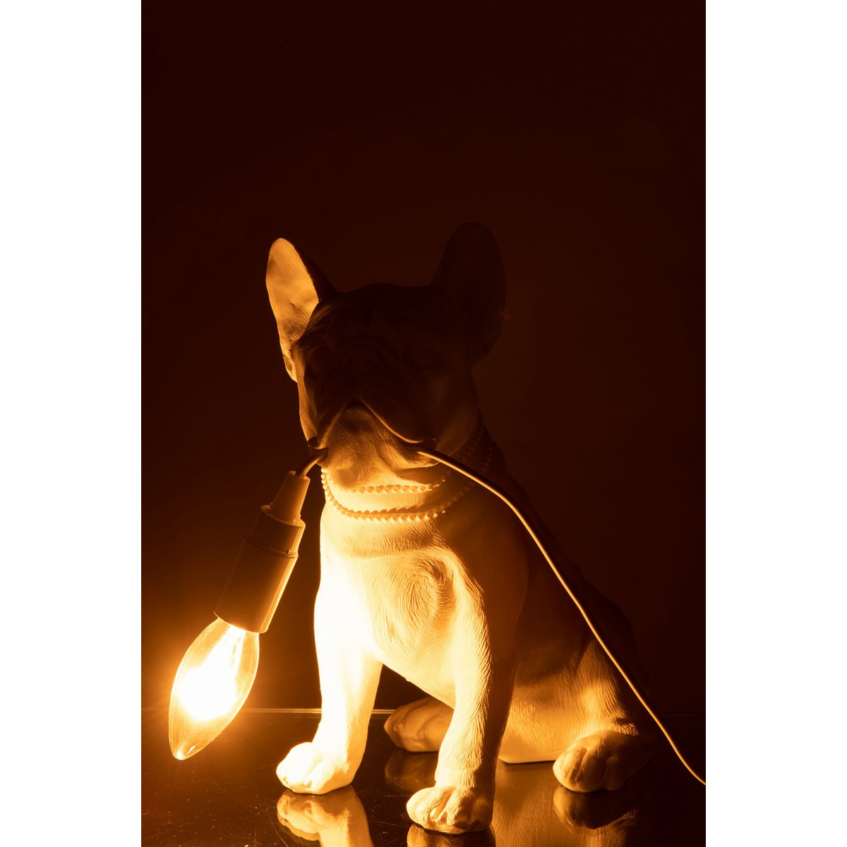 J-Line Bulldog Lamp - Polyresin - with