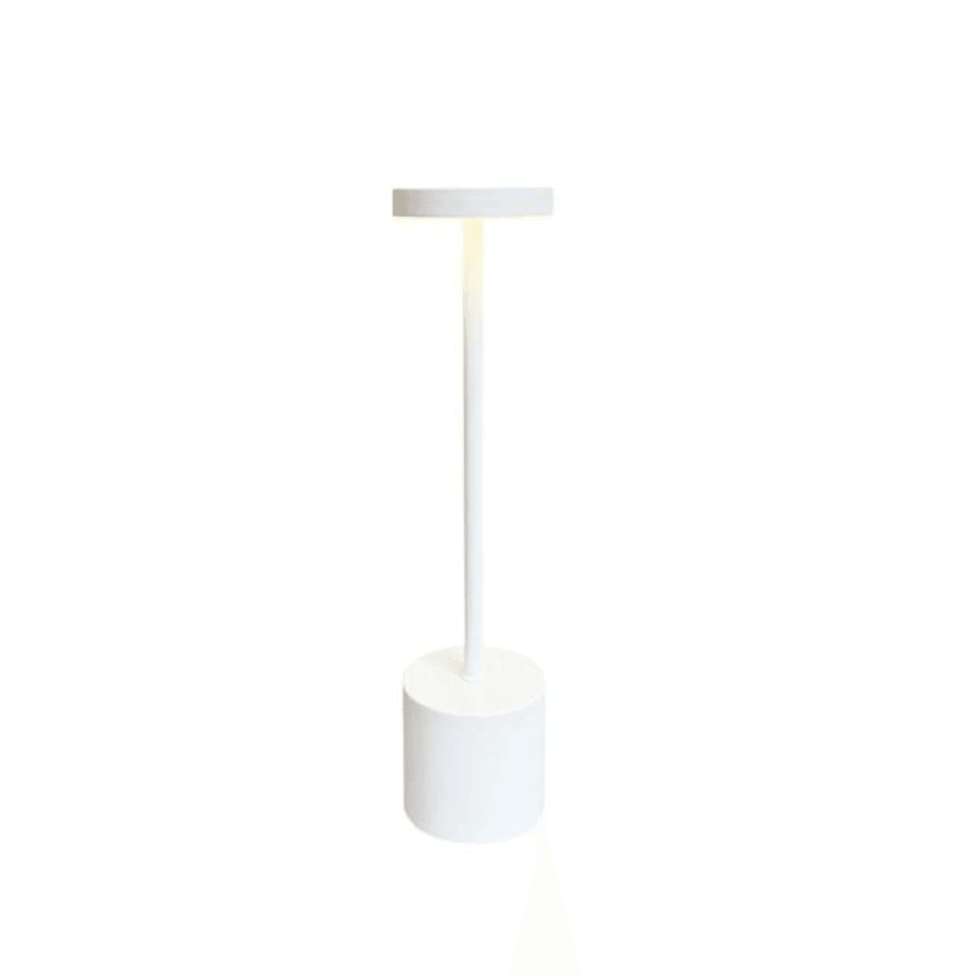 LoraGlow Desk Lamp | Metal, LED, Dimmable, USB Rechargeable