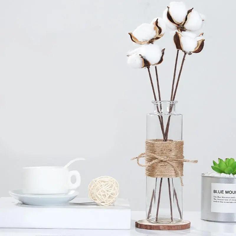 Minimalist Glass Vases | Elegant Table Decorations for Flowers and Hydroponics