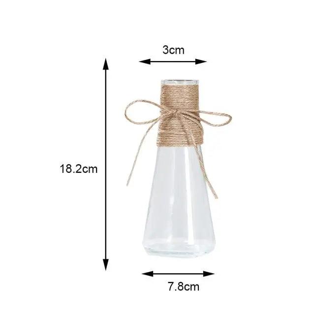 Minimalist Glass Vases | Elegant Table Decorations for Flowers and Hydroponics