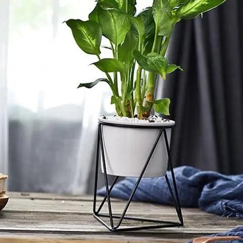 Ceramic Flowerpot with Iron Stand | Modern Planter for Air Plants & Succulents