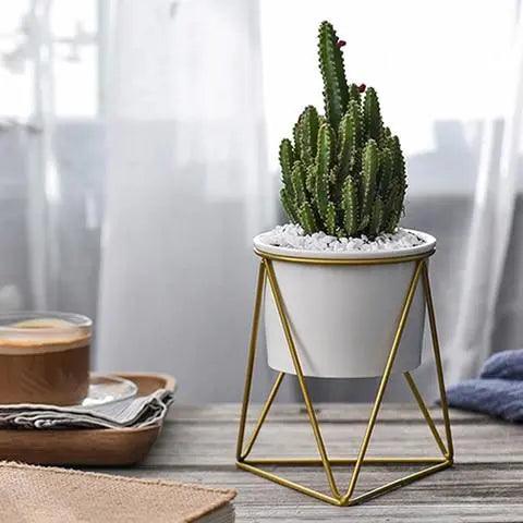 Ceramic Flowerpot with Iron Stand | Modern Planter for Air Plants & Succulents