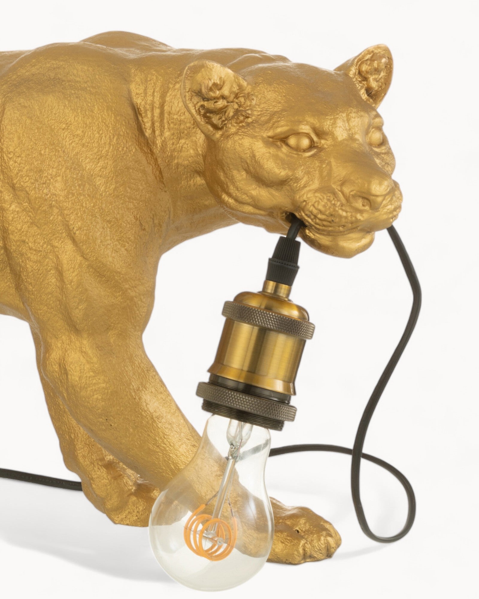 J-Line - Table Lamp Gilded Glow - Elegant Polyresin Design - Ideal for Indoor and Outdoor Use