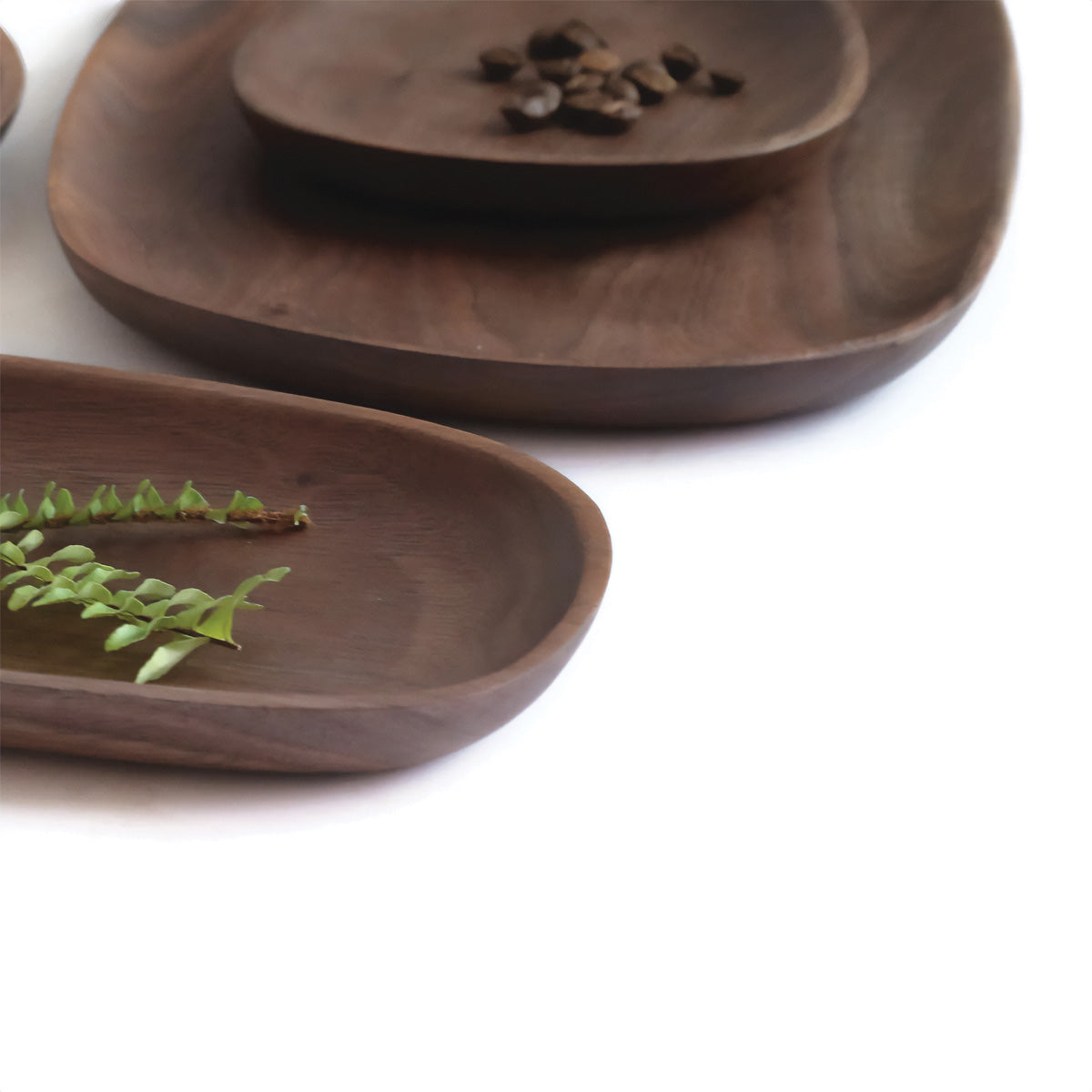 Walnut & Acacia Tray Set | Elegant Wooden Trays for Stylish Serving