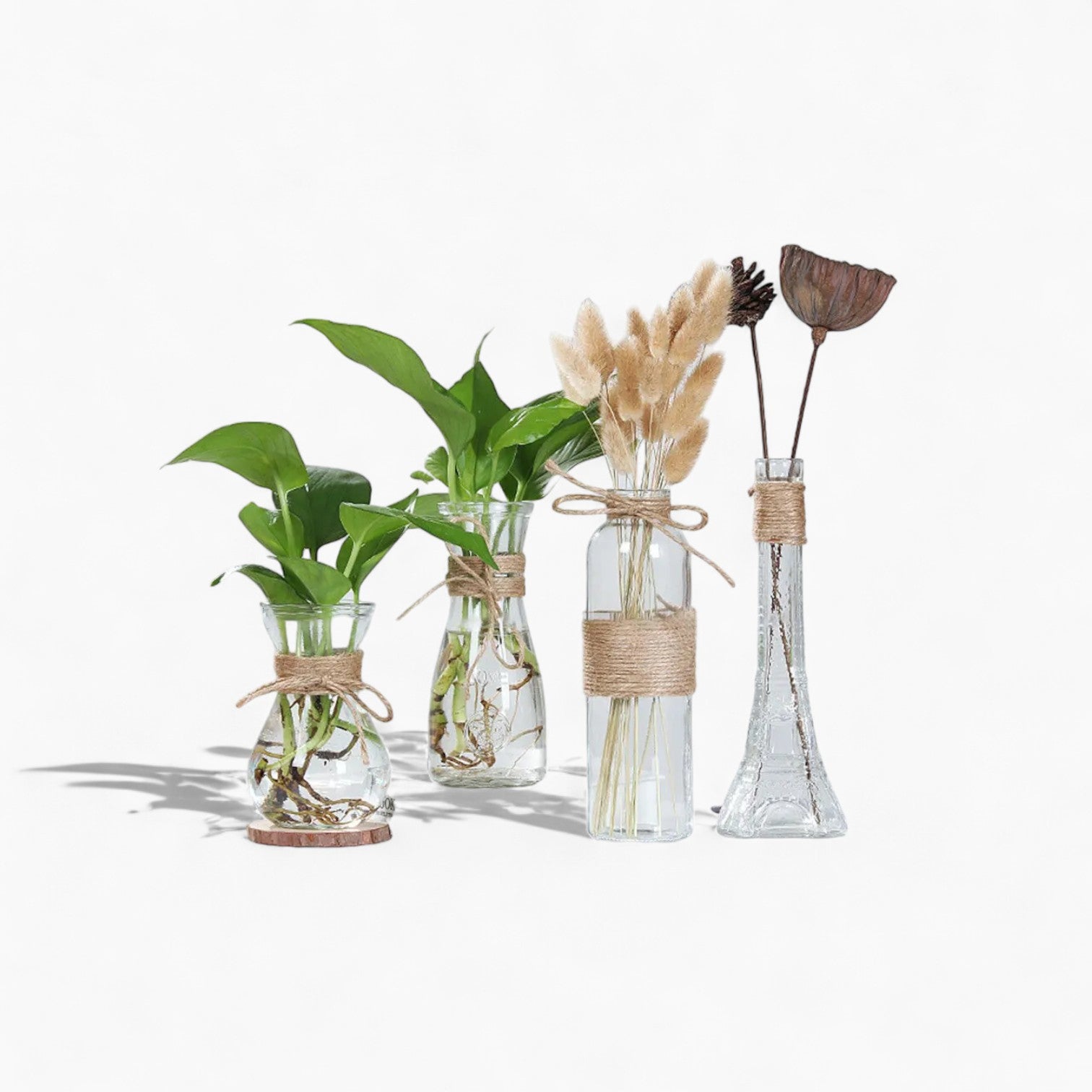 Minimalist Glass Vases | Elegant Table Decorations for Flowers and Hydroponics