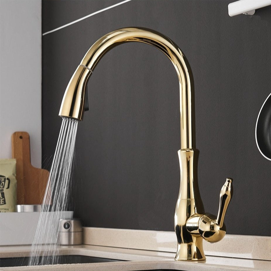 Anton Pull-Out Kitchen Faucet | Stylish Functionality and Modern Design